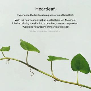 ABIB Collagen Gel Mask Heartleaf Jelly (1ea)