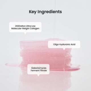 BIODANCE Collagen Gel Toner Pads (Pink_60 Pads)