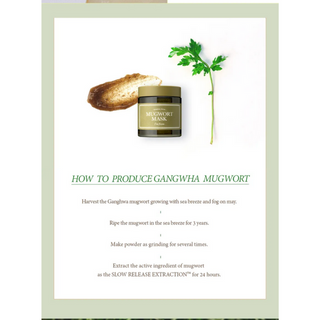 I'm From Mugwort Mask 110ML