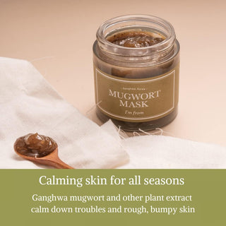 I'm From Mugwort Mask 110ML