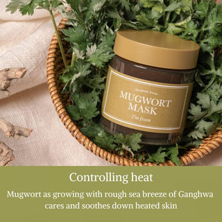 I'm From Mugwort Mask 110ML