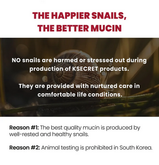 KSECRET Seoul 1988 Essence: Snail Mucin 97% + Rice 100mL - Kbeauty Canada